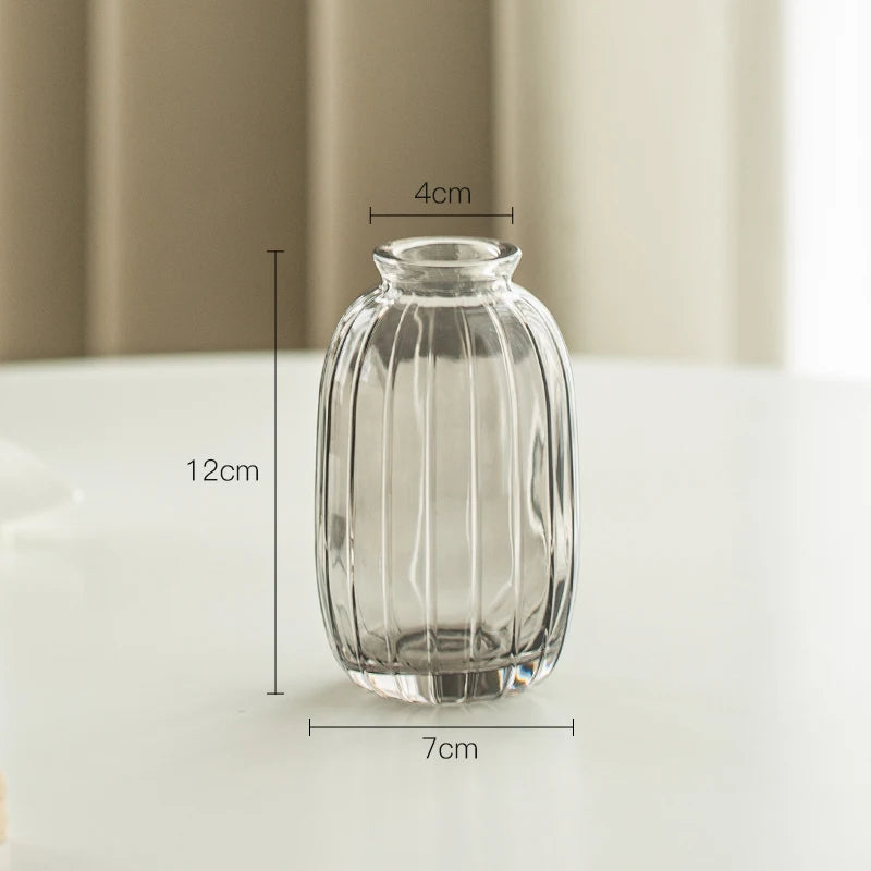 Simple Modern Mini Glass Vase Transparent Aquatic Ornament Flower Arrangement Flower Small Relief Flower Vessel