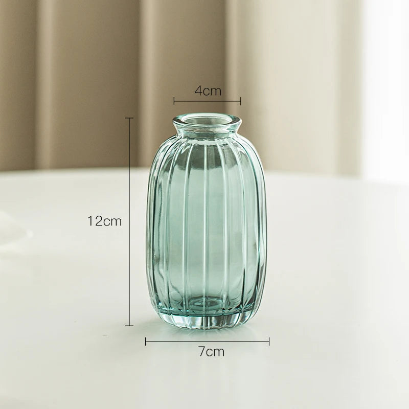 Simple Modern Mini Glass Vase Transparent Aquatic Ornament Flower Arrangement Flower Small Relief Flower Vessel