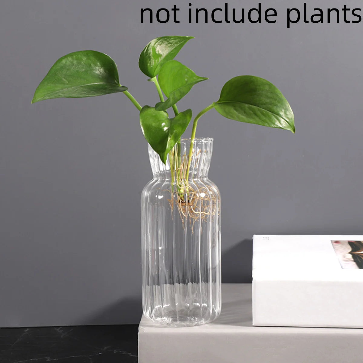 Transparent Glass Vases Hydroponic Plants Flower Arrangement Bottle Mini Retro Striped Vase Home Room Dinner Table Decor 