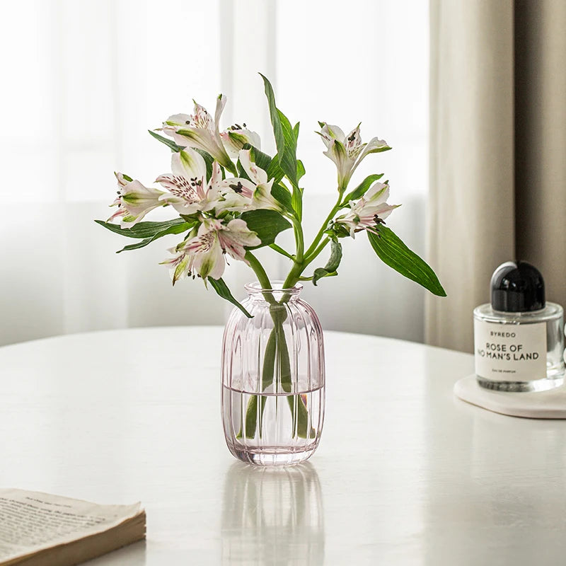 Simple Modern Mini Glass Vase Transparent Aquatic Ornament Flower Arrangement Flower Small Relief Flower Vessel