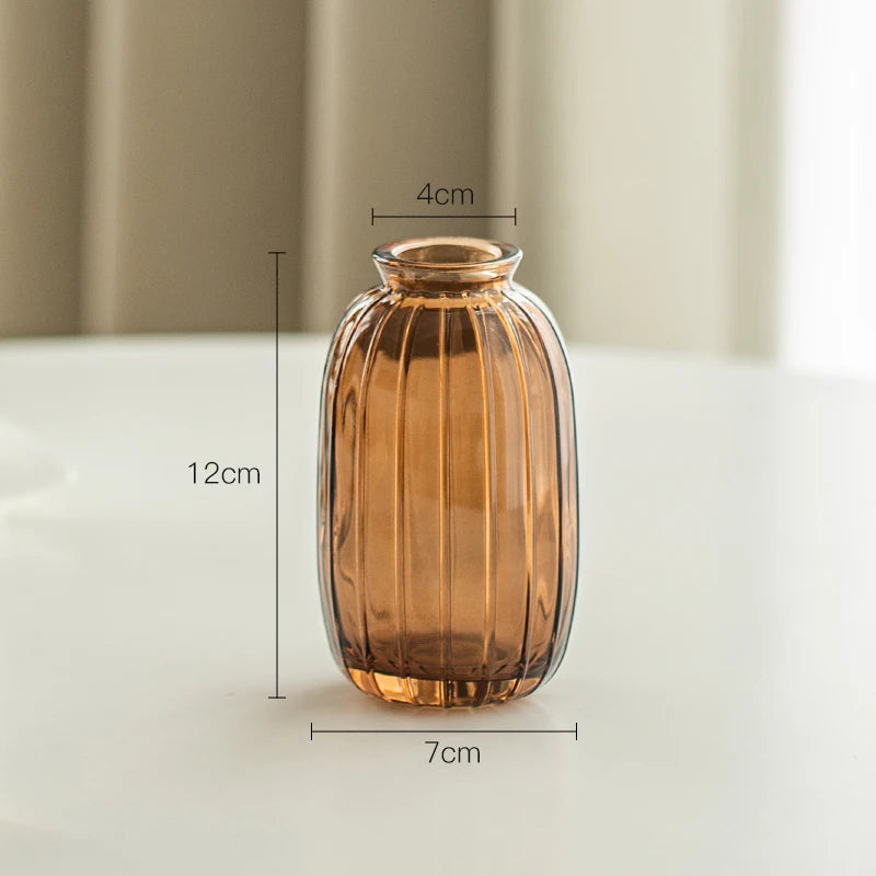 Simple Modern Mini Glass Vase Transparent Aquatic Ornament Flower Arrangement Flower Small Relief Flower Vessel