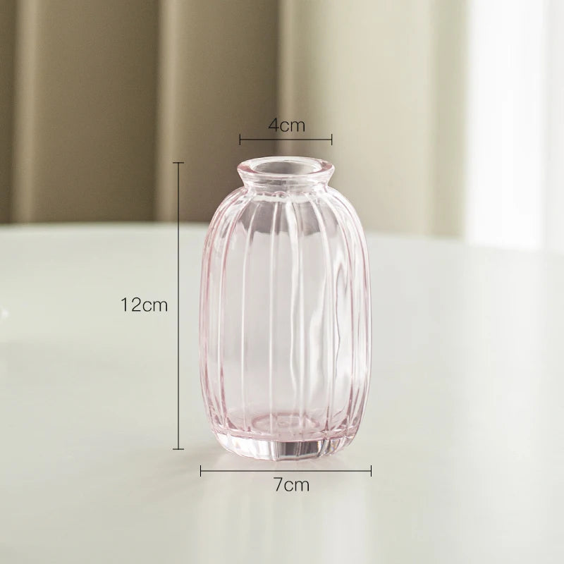 Simple Modern Mini Glass Vase Transparent Aquatic Ornament Flower Arrangement Flower Small Relief Flower Vessel