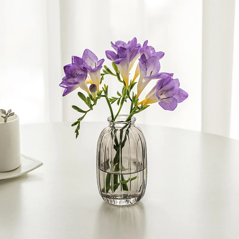 Simple Modern Mini Glass Vase Transparent Aquatic Ornament Flower Arrangement Flower Small Relief Flower Vessel