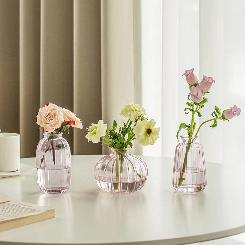 Simple Modern Mini Glass Vase Transparent Aquatic Ornament Flower Arrangement Flower Small Relief Flower Vessel