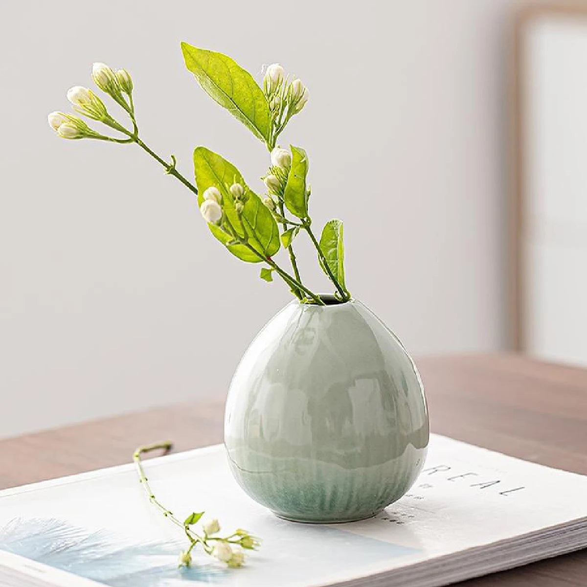 Simple ceramic vase decoration, living room home dining table decoration, hydroponic plant small vase